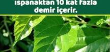 Sütten 25 Kat Daha Fazla Kalsiyum, Ispanaktan 10 Kat Fazla Demir İçerir