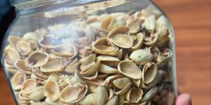 Antep fıstığı kabuğu çöp değil, gizli ha’zineymiş! Biriktirin, evi mis gibi kokutacak