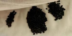 Gerçekten ne olduklarını anladığımda ş