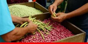 Yıllarca tükettik kanser nedeni çıktı