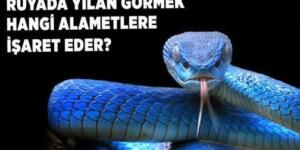 Meğer yıllardır yanlış biliyormuşuz.. Rüyada görmek ba’kın neyin alameti.