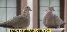 Ba’kınız ne anlama geliyor