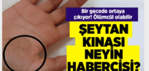 Sabah uyandıklarında elinde ya da ayağında kahverengi lekelerle karşılaşanların