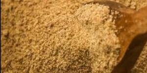 Balıktan 7 bin kat daha fazla omega-3 içeriyor!