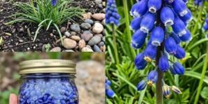 Belki bu çiçeği görmüşsünüzdür ama gücünü hiç bilmediniz..