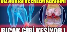 7 günde eklem ağrılarını yok eden doğal kür! T’arifi
