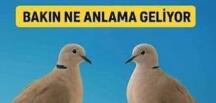 Ba’kınız ne anlama geliyormuş..
