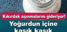 Kıkırdak aşınmalarını gideriyor! Yoğurdun içine kaşık kaşık ekleyin: Kemiklere kalsiyum işliyor, diz ağrılarını sıfırlıyor.