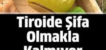 Şişliklere ve Kilolara Veda Edin