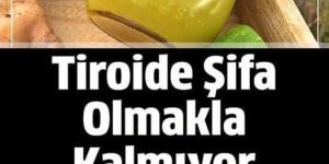 Şişliklere ve Kilolara Veda Edin