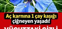 Vücuttan i’ltihabı söküp atıyor