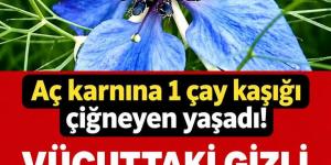 Vücuttan i’ltihabı söküp atıyor