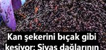 D’oğal bir şifa