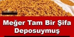 Meğer t’am bir ş’ifa deposuymuş: Günde 1avuç yiyenin k’an değerleri f’ırlıyor..