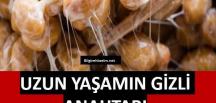 Uzun Yaşamanın G’izli Anahtarı…