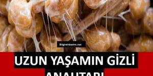 Uzun Yaşamanın G’izli Anahtarı…